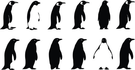 Fototapeta premium Penguin silhouettes collection, detailed and abstract bird vector set, wildlife illustration artwork, Antarctic animal design, black and white comparison, educational and artistic reference