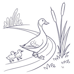 Outline illustration of a mother duck and her two ducklings strolling on a path, with reeds and natural foliage, isolated on