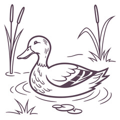 Simple line art illustration of a duck gracefully swimming in a pond, surrounded by reeds and lily pads, capturing a peaceful wetland scene