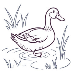 A simple black and white line art illustration of a cute duck standing in shallow water with reeds, perfect for childrens coloring books, isolated on
