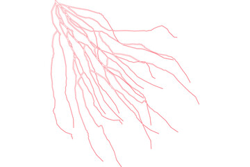 Light Pink Branching Lightning Veins Illustration with Soft Electric Lines