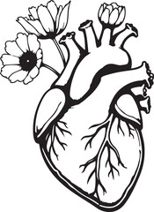 hand drawn vector illustration of a flower