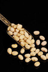 Crispy Roasted Soybean Snacks in Golden Spoon on Black Background - Guizhou Traditional Food Ingredient