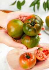 Fresh Green Tomatoes from Dandong - Hands Holding Freshly Harvested Organic Produce with Water Droplets and Leaves