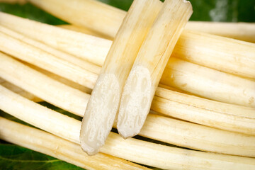 Fresh Bamboo Shoots from Honghu - Freshly Dug Root Vegetables with White Tender Cores on Natural Green Background