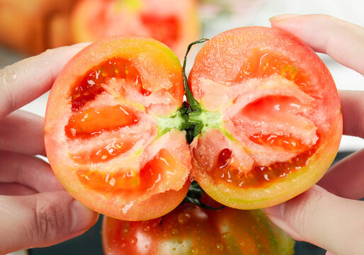 Fresh Cut Tomato Halves Held in Hands Showing Juicy Interior for Cooking Preparation