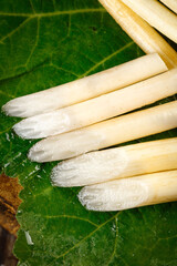 Freshly Dug Lotus Root Vegetables on Green Leaves - Honghu Traditional Asian Produce