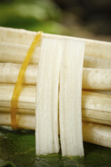 Freshly Picked Lotus Roots from Honghu China on Green Banana Leaves