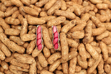 Fresh Raw Peanuts in Shells with Red Skin Nuts Visible Inside Open Pods