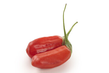 Fresh Red Goji Berries with Stems on White Background - Ningxia Wolfberries Natural Form