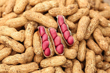 Fresh Red Skinned Peanuts in Shells - Healthy Organic Nuts and Legumes