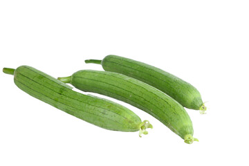 Fresh Shandong Loofah Gourds with Ridged Texture on White Background