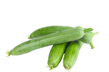 Fresh Green Loofah Gourds from Shandong Province on White Background