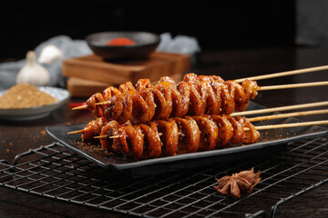Handmade Spiced Gluten Skewers from Shaanxi China - Traditional Roasted Street Food on Wooden Sticks