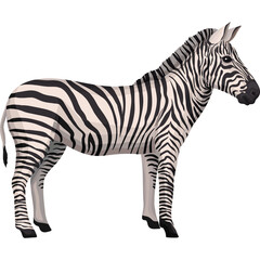 Illustration of a Zebra with Black and White Stripes Standing Still on a Transparent Background in a Side Profile View