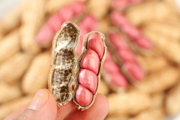 Fresh Red Peanuts in Open Shell - Raw Nuts Natural Food Photography