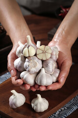 Fresh Garlic Heads and Cloves in Hands - Farm Produce from Henan China