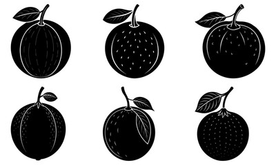 Fresh citrus fruit collection, diverse oranges, perfect for healthy eating promotions and vibrant designs, evokes zest and natural goodness from vector origins