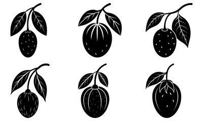 Elegant botanical illustration of passion fruit, artistic, hand-drawn style for invitations, branding, packaging, and natural food concepts, vector origin