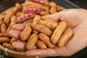 Fresh Raw Peanuts in Shell Held in Hand - Natural Organic Nuts with Red Skin Texture