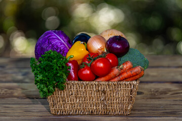 Fresh vegetables harvested from farm. Basket of ripe produce. Organic crops for healthy meals. Autumn vegetables in harvest. Produce from eco farm. Fresh raw ingredients from the farm field.