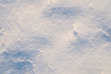 White landscape with snow crystals. Icy snow surface shining in sunlight. Frozen winter pattern with snow. Frost crystals on snowy surface.