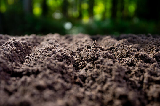 Fertile farm soil background. Humus and clay. Cultivated ground in rural farm field. Freshly plowed earth. Organic compost mixed into farm soil. Fertile soil. Groundwork and soil for cultivation.