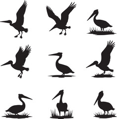 Obraz premium Nine black pelican silhouettes in various poses bird