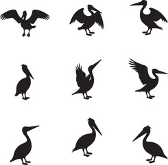 Obraz premium Nine Black Pelican Silhouettes Various Poses bird silhouette