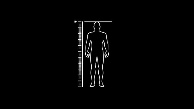 White outline of a human figure with a measuring ruler and horizontal line on black background silhouette.4k video