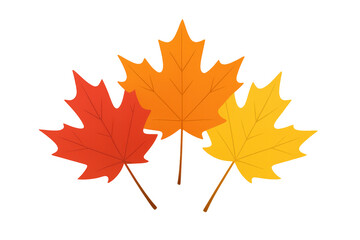 Fototapeta premium Grouping of colorful maple leaves representing autumn season and harvest themes, with a transparent background