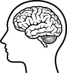 Human head outline with detailed brain illustration, neuroscience anatomy drawing, mental health concept graphic for education, medical research, psychology design