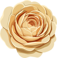 vector illustration of a yellow rose