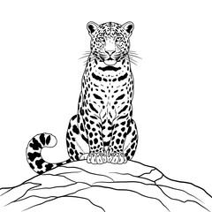 Black and white line art of a spotted leopard sitting on a rock, isolated front view.
