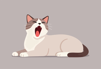 A relaxed cat, yawning wide with closed eyes. It has a cream and brown color scheme on a grey background