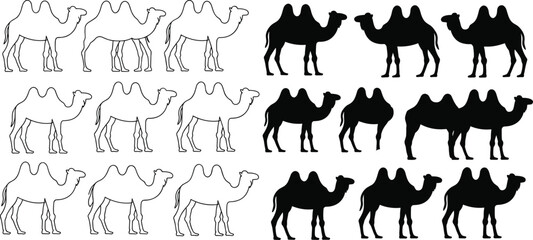 Comprehensive set of desert camel vector silhouettes and outlines, featuring dromedary and Bactrian species for travel and Middle East concepts.