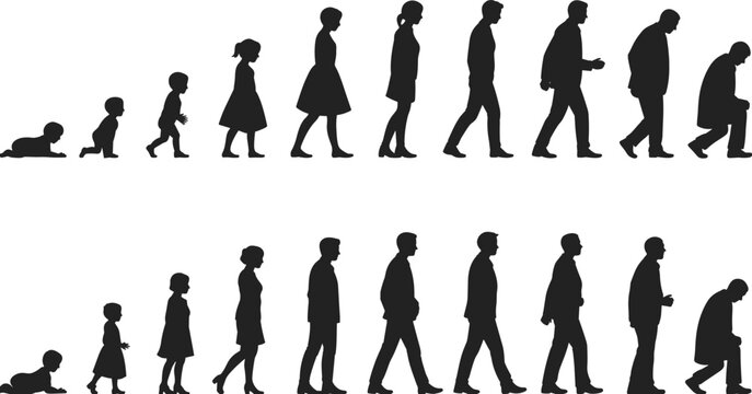 Vector silhouettes depicting the entire human life cycle from infancy to old age, symbolizing growth, time passing, and human development stages.