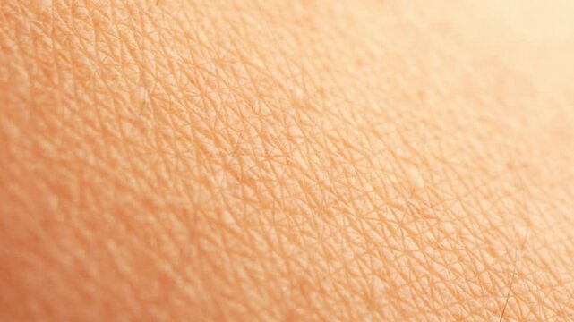 Each line and crosshatch on the skin in this macro view shows the interplay of protection, individuality, and the remarkable adaptability that underlies the biology and health of every person.
