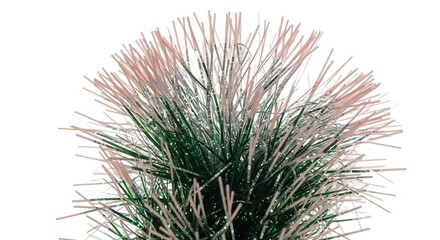 Close up Macro Shot of Delicate Pinkish Blonde Ornamental Grass Seed Heads on White Background