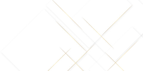 golden Lines abstract sports background or texture on outdoor sports field. geometric banner pattern background.  Aesthetic is clean, delicate, airy, and light beige, peach, faint layered appearance. 