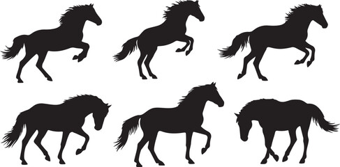 Set of silhouette of horses. Isolated black silhouette of galloping, jumping running, trotting, rearing horse on white background. Side view.