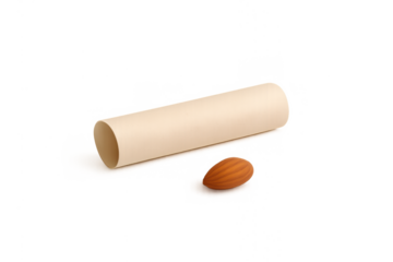Uncooked cannelloni pasta tube alongside a shelled almond, showcasing essential ingredients for italian cuisine preparation