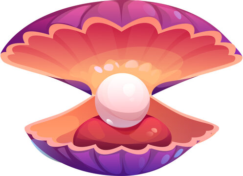 Cartoon ocean rare pearl ouster shell and scallop. Marine jewelry pearl isolated vector shell, underwater life precious seashell. Ocean nature rare scallop mollusk or sea bottom valuable oyster clam