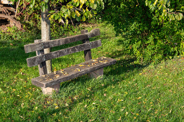 Wooden bench surrounded by lush green grass and scattered autumn leaves, positioned under a tree, creating a serene outdoor relaxation space in nature