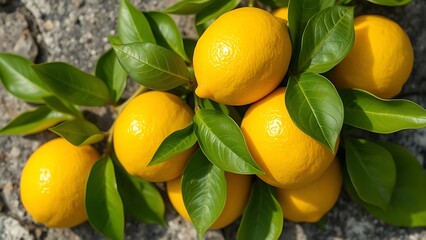 Bright yellow lemon with green leaves on a stone surface, captured in natural daylight from above.