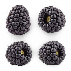 Blackberries on Isolated Background, Ready for Design Element Transparent Background