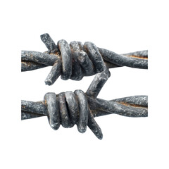 Barbed wire isolated on black