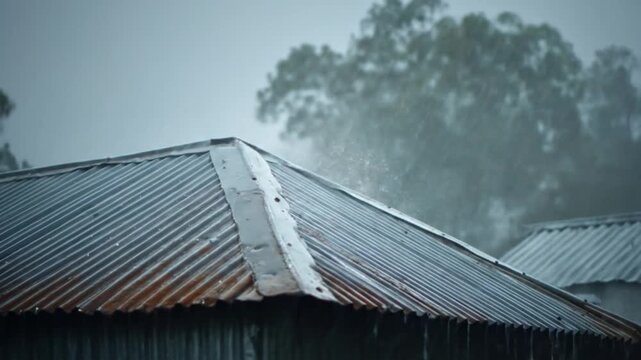 Rain-soaked corrugated metal roof under a stormy gray sky; distant trees blur, as rain falls softly