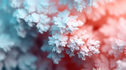 Obraz premium Abstract snow fractals forming soft arcs, snow, delicate geometric beauty