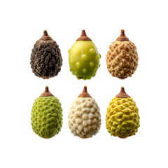 Custard apple varieties on black background